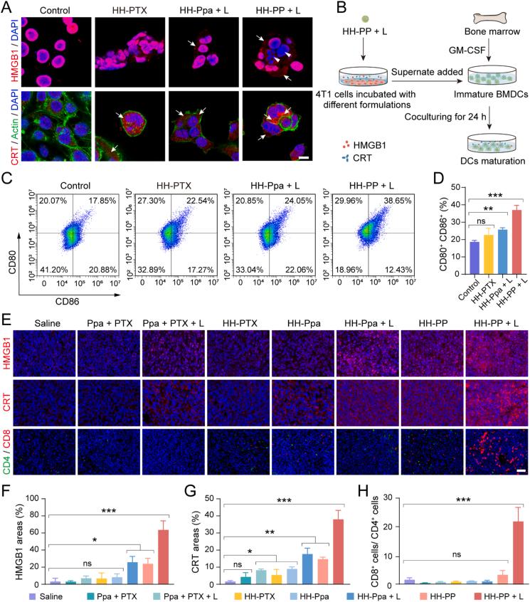 https://cdn.ncbi.nlm.nih.gov/pmc/blobs/ca82/12145006/4d831f8ec0b7/gr6.jpg