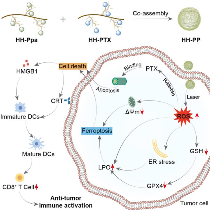 https://cdn.ncbi.nlm.nih.gov/pmc/blobs/ca82/12145006/7cd2ee2bf19a/ga1.jpg