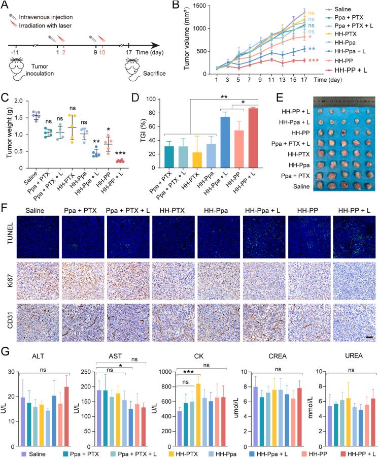 https://cdn.ncbi.nlm.nih.gov/pmc/blobs/ca82/12145006/b417421634f4/gr7.jpg