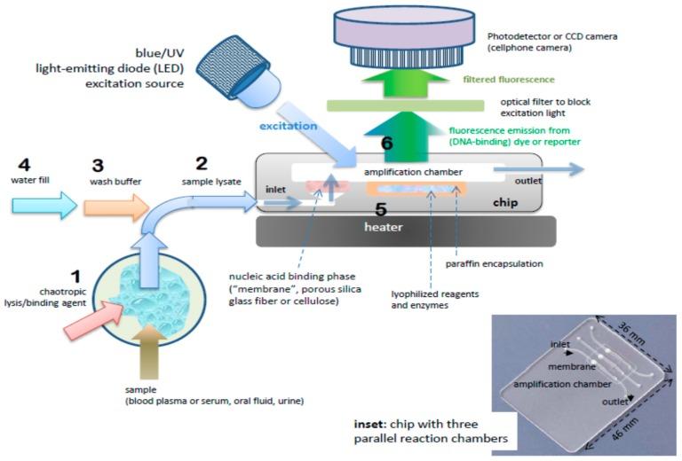 https://cdn.ncbi.nlm.nih.gov/pmc/blobs/ca83/5872065/1f0eaa288b00/biosensors-08-00017-g002.jpg