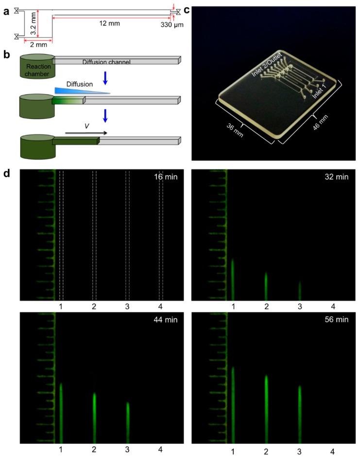 https://cdn.ncbi.nlm.nih.gov/pmc/blobs/ca83/5872065/58239621330c/biosensors-08-00017-g008a.jpg