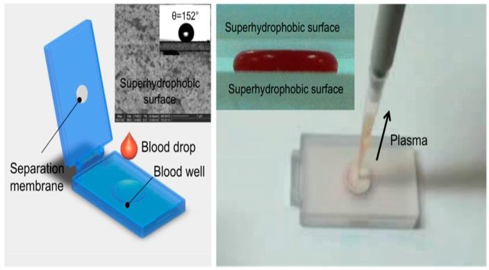 https://cdn.ncbi.nlm.nih.gov/pmc/blobs/ca83/5872065/e35e738c9b6d/biosensors-08-00017-g013.jpg