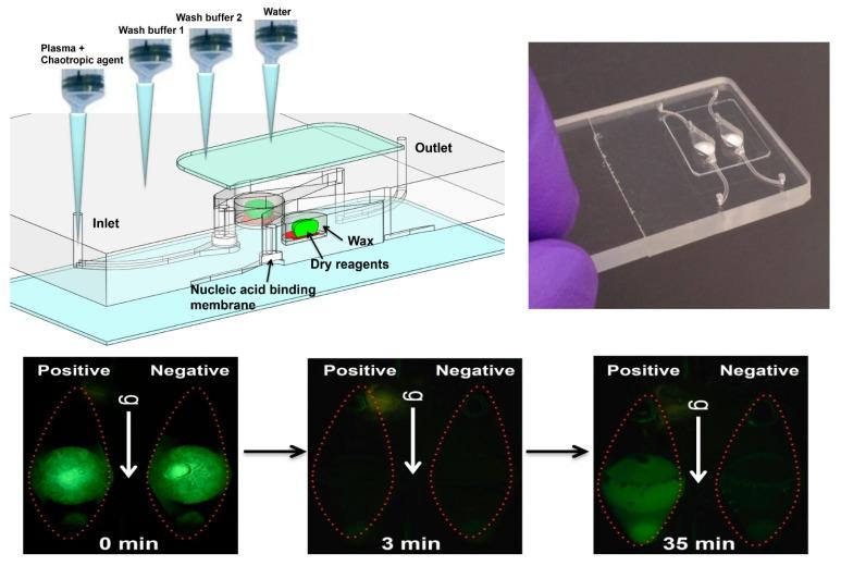 https://cdn.ncbi.nlm.nih.gov/pmc/blobs/ca83/5872065/e7963250d42f/biosensors-08-00017-g004.jpg