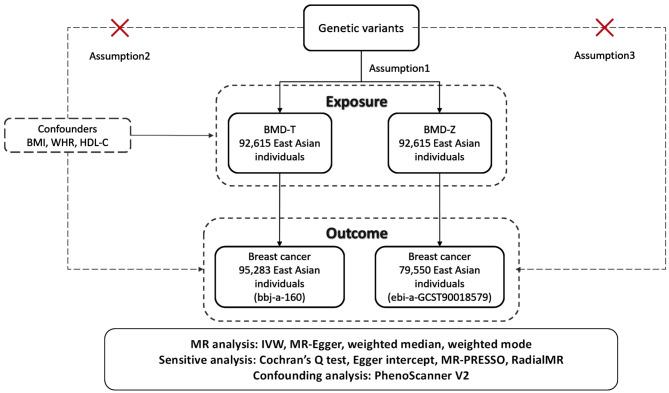 https://cdn.ncbi.nlm.nih.gov/pmc/blobs/ca86/11401392/18726d8480c2/12885_2024_12908_Fig1_HTML.jpg