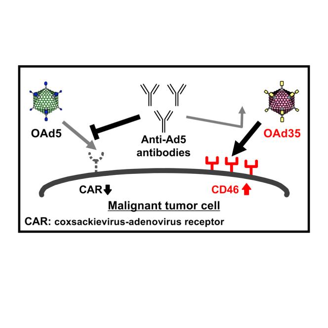 https://cdn.ncbi.nlm.nih.gov/pmc/blobs/ca87/7878985/1ab90a2abc06/fx1.jpg