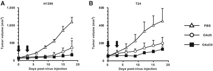https://cdn.ncbi.nlm.nih.gov/pmc/blobs/ca87/7878985/2ad813b46981/gr7.jpg