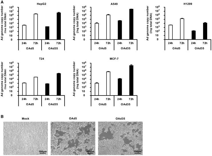 https://cdn.ncbi.nlm.nih.gov/pmc/blobs/ca87/7878985/c17f1aea9bf7/gr5.jpg