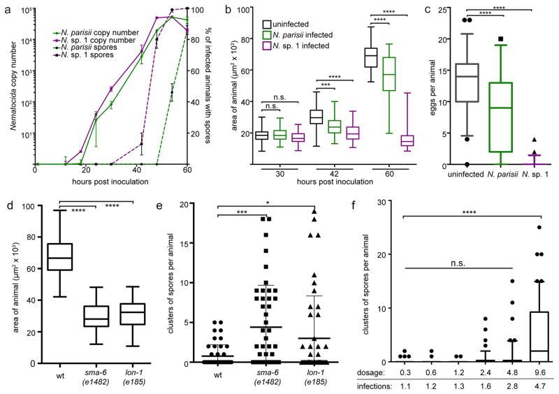 https://cdn.ncbi.nlm.nih.gov/pmc/blobs/ca88/5094362/8fb1a699cd39/nihms803845f4.jpg