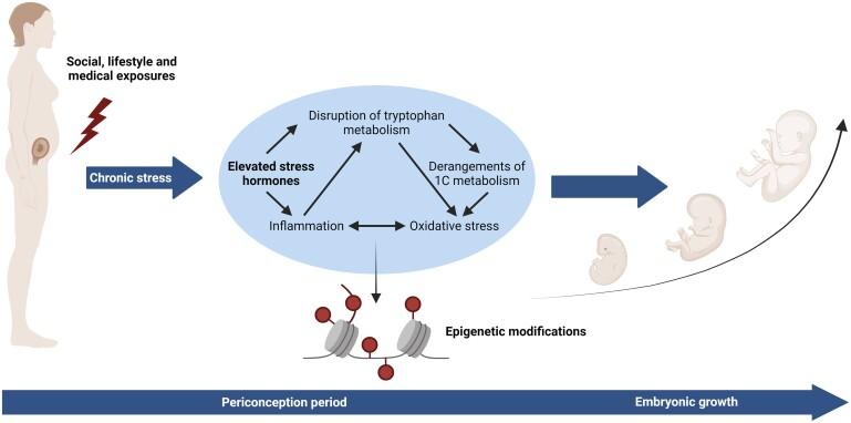 https://cdn.ncbi.nlm.nih.gov/pmc/blobs/ca8d/11532602/e02d147c7b4b/deae211f1.jpg