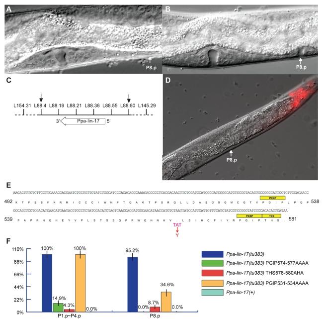 https://cdn.ncbi.nlm.nih.gov/pmc/blobs/ca8d/3144188/b428ea0595f3/pbio.1001110.g002.jpg