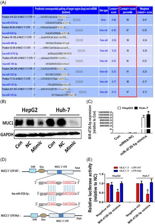 https://cdn.ncbi.nlm.nih.gov/pmc/blobs/ca8e/9302658/ab5911646a79/MC-61-417-g006.jpg