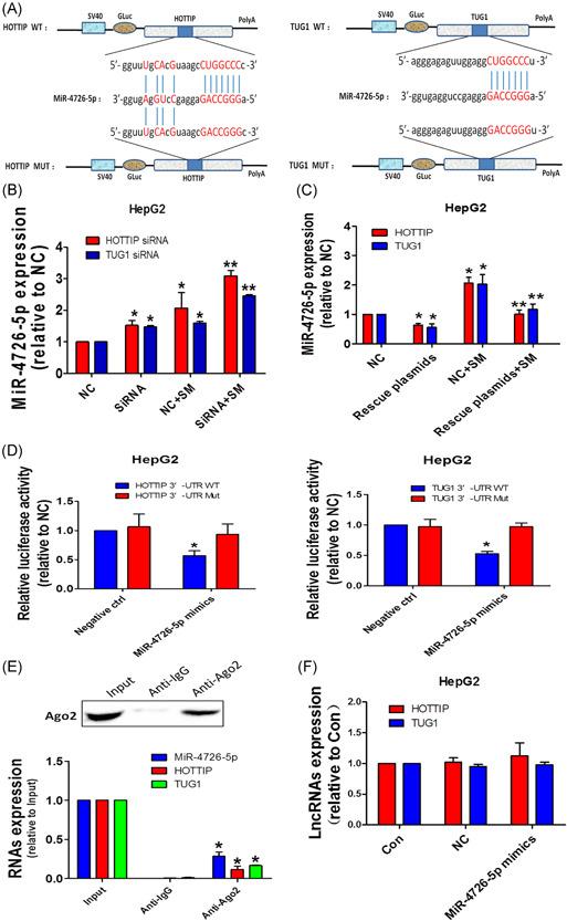 https://cdn.ncbi.nlm.nih.gov/pmc/blobs/ca8e/9302658/d7f0f8337d9e/MC-61-417-g004.jpg