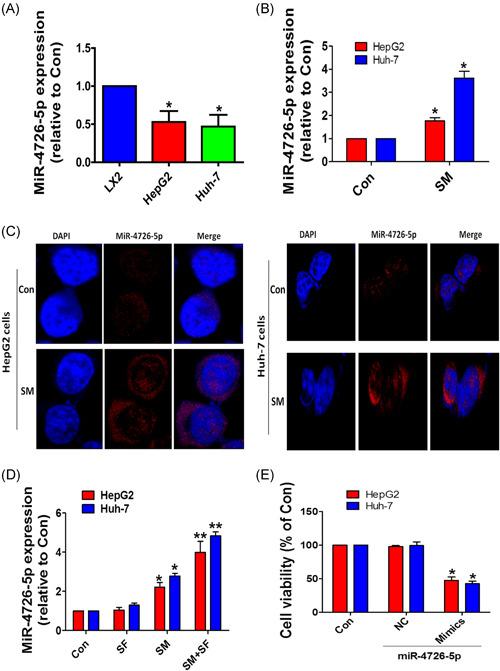 https://cdn.ncbi.nlm.nih.gov/pmc/blobs/ca8e/9302658/f330a63f4f81/MC-61-417-g005.jpg