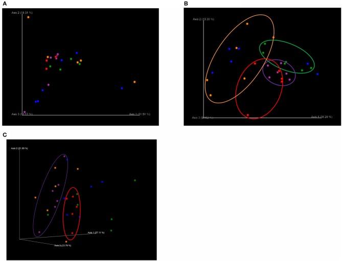 https://cdn.ncbi.nlm.nih.gov/pmc/blobs/ca91/6404372/3ab29d7526a0/fvets-06-00026-g0001.jpg