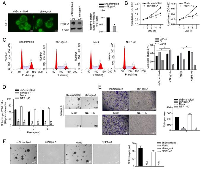 https://cdn.ncbi.nlm.nih.gov/pmc/blobs/ca91/9185138/7bacc4ebe027/ol-24-01-13351-g03.jpg