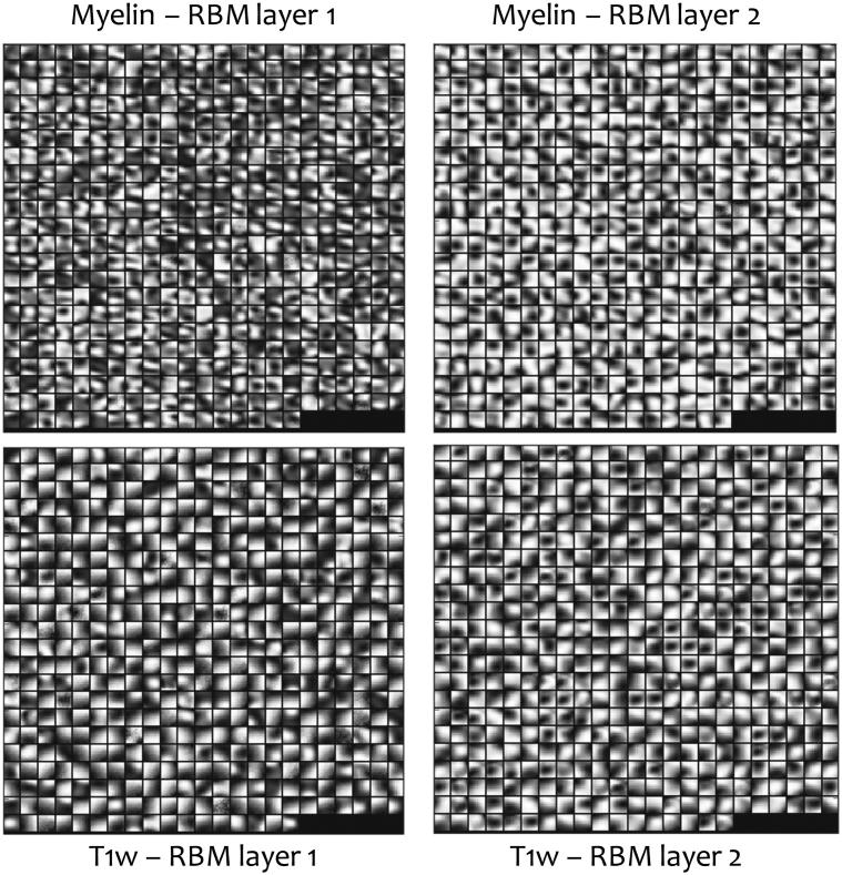 https://cdn.ncbi.nlm.nih.gov/pmc/blobs/ca92/5651626/225d5ff6c556/gr4.jpg