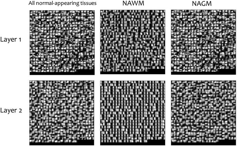https://cdn.ncbi.nlm.nih.gov/pmc/blobs/ca92/5651626/6f578a2afbee/gr5.jpg