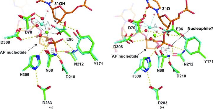 https://cdn.ncbi.nlm.nih.gov/pmc/blobs/ca93/3852660/2c08c0eba103/d-69-02555-fig2.jpg