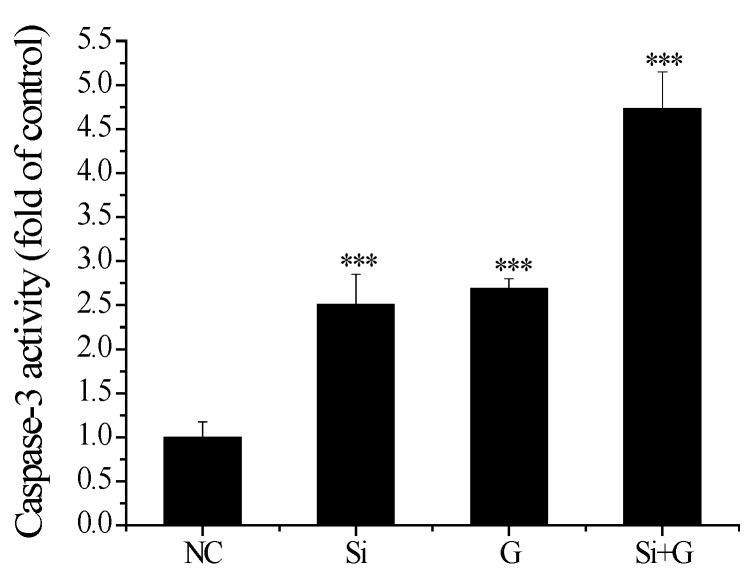 https://cdn.ncbi.nlm.nih.gov/pmc/blobs/ca93/4783963/559c189515f1/ijms-17-00231-g008.jpg