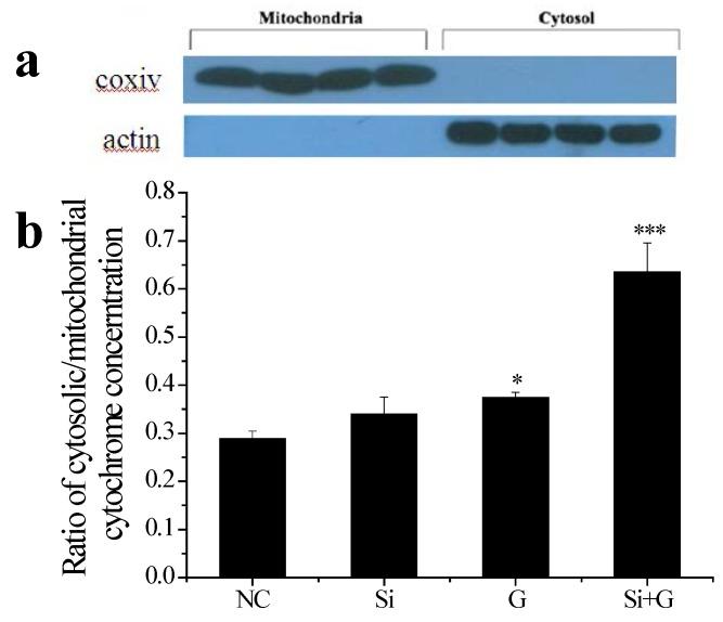 https://cdn.ncbi.nlm.nih.gov/pmc/blobs/ca93/4783963/7dfb5fb14eea/ijms-17-00231-g007.jpg