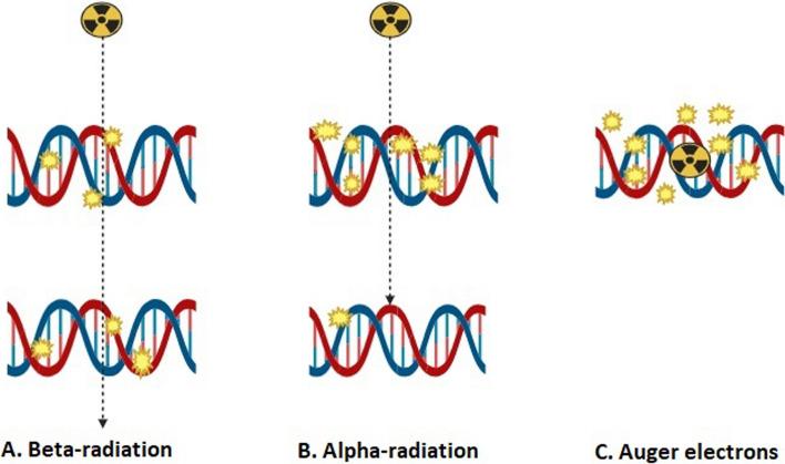 https://cdn.ncbi.nlm.nih.gov/pmc/blobs/ca94/11344754/5807559a9047/41181_2024_295_Fig3_HTML.jpg