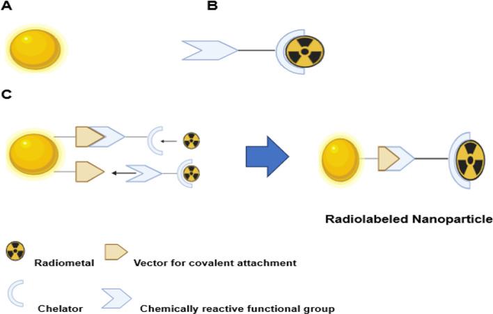 https://cdn.ncbi.nlm.nih.gov/pmc/blobs/ca94/11344754/abe44915b94d/41181_2024_295_Fig4_HTML.jpg