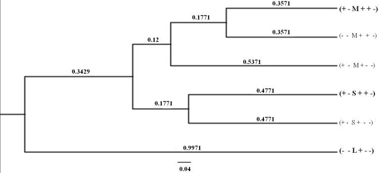 https://cdn.ncbi.nlm.nih.gov/pmc/blobs/ca94/4686174/d4ad285a6eb5/pone.0145230.g003.jpg