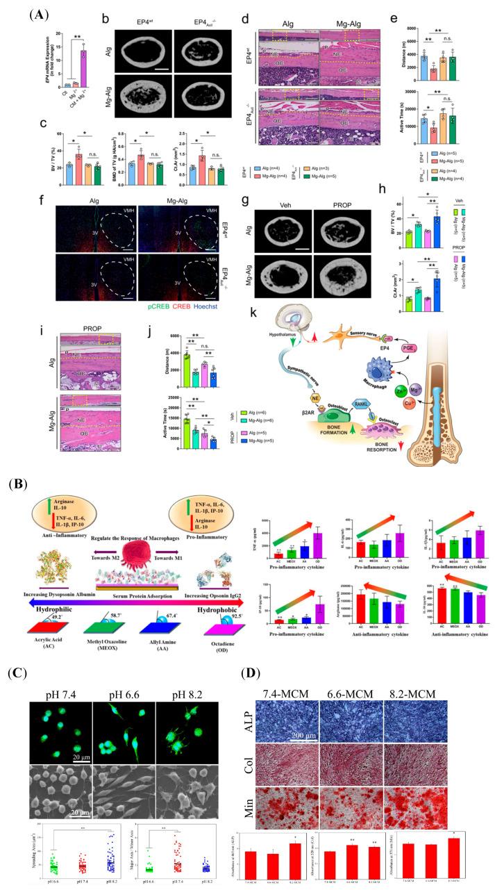 https://cdn.ncbi.nlm.nih.gov/pmc/blobs/ca95/12194544/561363e66cbb/jfb-16-00217-g003.jpg