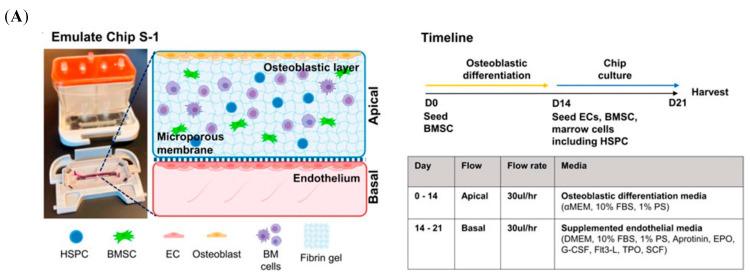 https://cdn.ncbi.nlm.nih.gov/pmc/blobs/ca95/12194544/d735660e77e0/jfb-16-00217-g008a.jpg