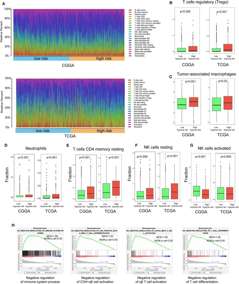 https://cdn.ncbi.nlm.nih.gov/pmc/blobs/ca95/7243125/1a3c4d1150c2/fonc-10-00796-g0006.jpg