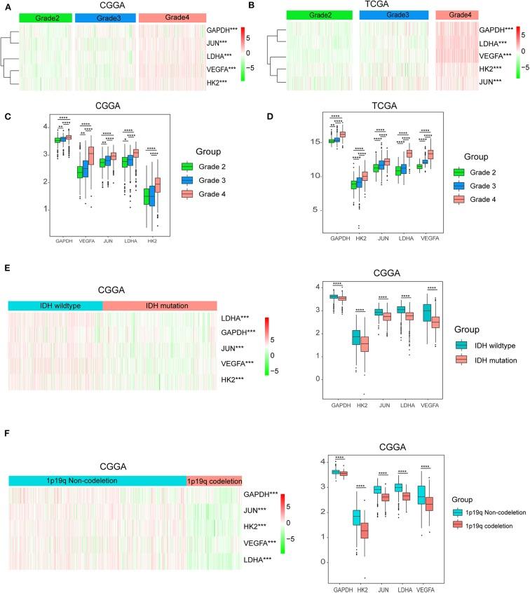 https://cdn.ncbi.nlm.nih.gov/pmc/blobs/ca95/7243125/5eb30d8a0993/fonc-10-00796-g0003.jpg