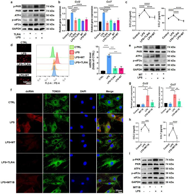 https://cdn.ncbi.nlm.nih.gov/pmc/blobs/ca96/10907345/06409a71ca49/12276_2024_1168_Fig6_HTML.jpg