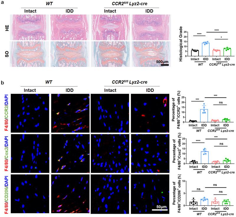 https://cdn.ncbi.nlm.nih.gov/pmc/blobs/ca96/10907345/262741dafe6c/12276_2024_1168_Fig8_HTML.jpg