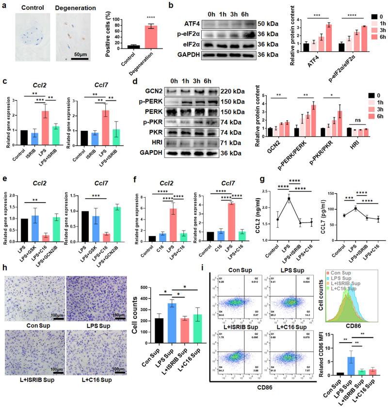https://cdn.ncbi.nlm.nih.gov/pmc/blobs/ca96/10907345/bf855f4a13a9/12276_2024_1168_Fig4_HTML.jpg