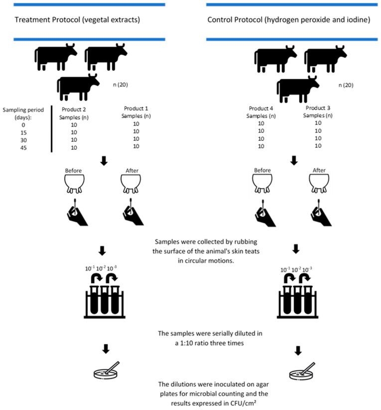 https://cdn.ncbi.nlm.nih.gov/pmc/blobs/ca9a/12031223/dcd8a0e3b3f1/vetsci-12-00293-g001.jpg