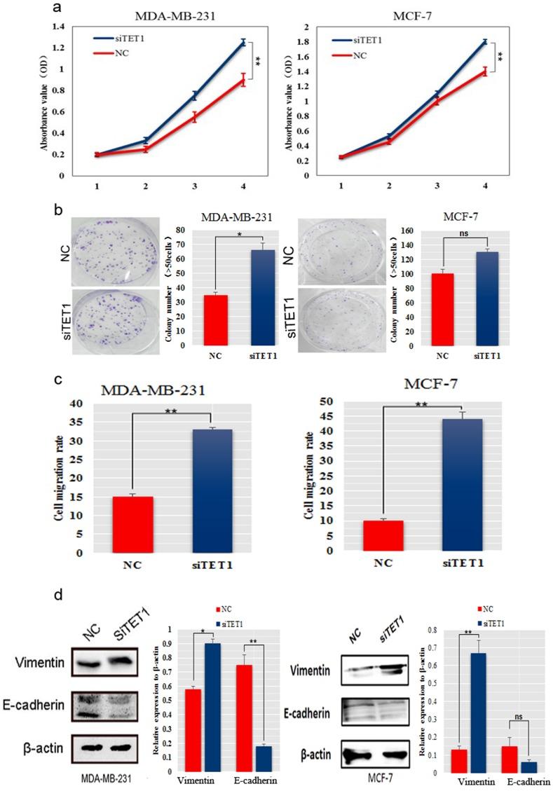 https://cdn.ncbi.nlm.nih.gov/pmc/blobs/ca9a/5731940/d89c2780a7f3/oncotarget-08-102119-g005.jpg