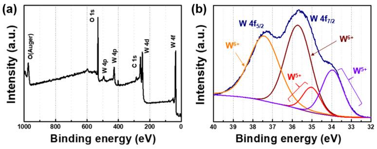 https://cdn.ncbi.nlm.nih.gov/pmc/blobs/ca9b/11243557/96bf58c2325c/nanomaterials-14-01121-g002.jpg