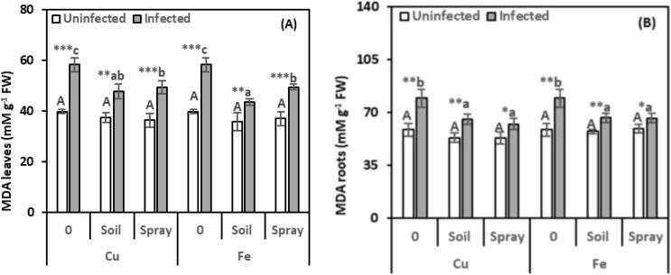 https://cdn.ncbi.nlm.nih.gov/pmc/blobs/ca9c/12358448/220a71f9b287/fpls-16-1560126-g004.jpg