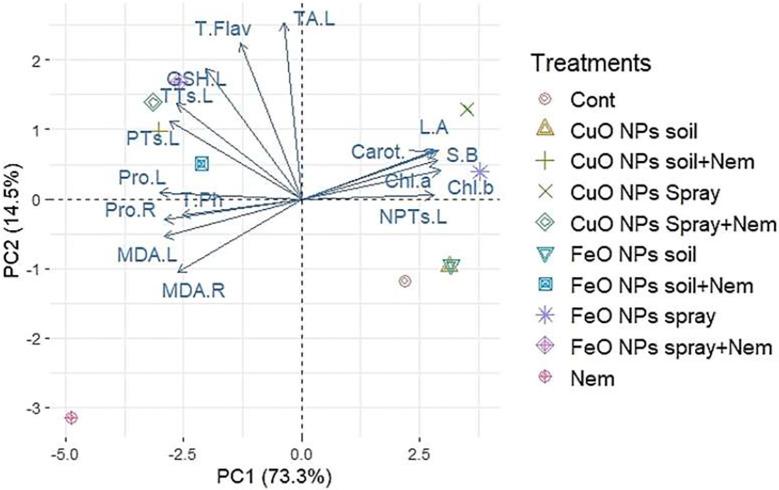 https://cdn.ncbi.nlm.nih.gov/pmc/blobs/ca9c/12358448/f3992513f1db/fpls-16-1560126-g008.jpg