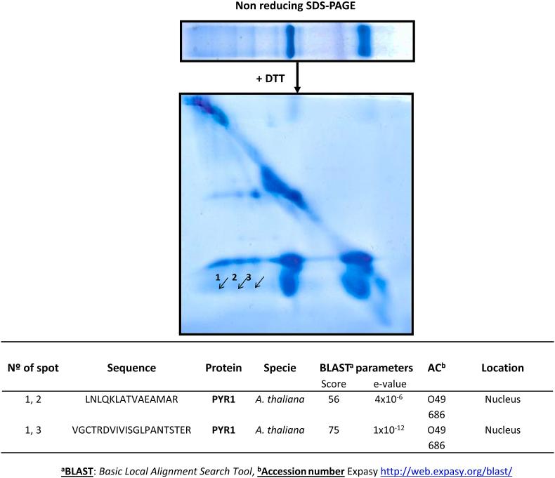 https://cdn.ncbi.nlm.nih.gov/pmc/blobs/ca9f/10244696/9f6a327c7f83/gr1.jpg
