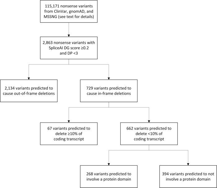 https://cdn.ncbi.nlm.nih.gov/pmc/blobs/ca9f/10853237/252530daad02/41431_2023_1495_Fig3_HTML.jpg
