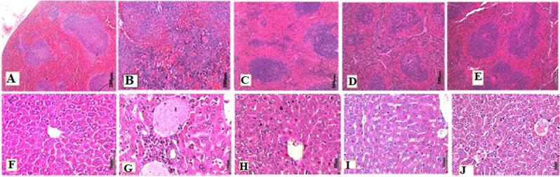 https://cdn.ncbi.nlm.nih.gov/pmc/blobs/ca9f/10924623/3d1e40e0c33a/PAMJ-46-112-g007.jpg