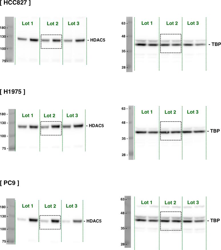 https://cdn.ncbi.nlm.nih.gov/pmc/blobs/ca9f/12022642/023884d41264/mmcfigs1.jpg