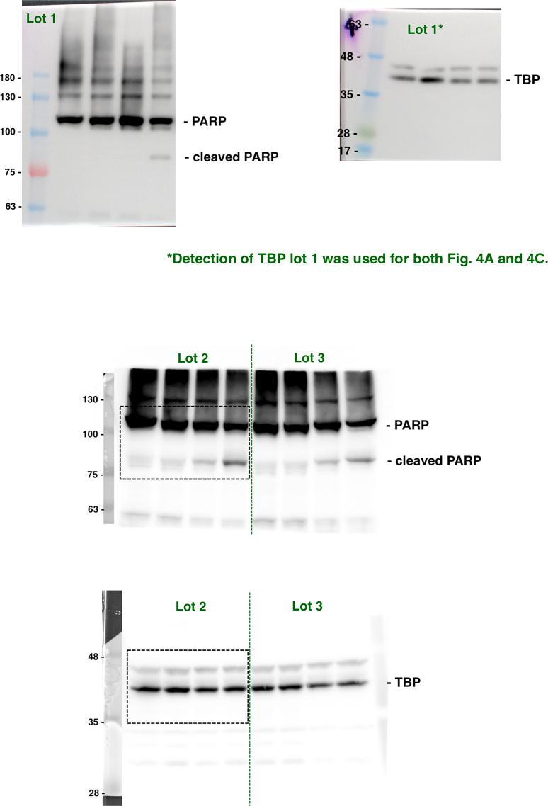 https://cdn.ncbi.nlm.nih.gov/pmc/blobs/ca9f/12022642/99e611a3a84e/mmcfigs4.jpg