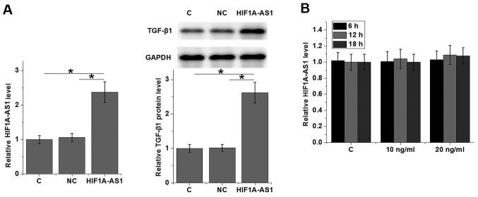 https://cdn.ncbi.nlm.nih.gov/pmc/blobs/caa2/6395997/aa7243ff5ef7/etm-17-03-1797-g03.jpg