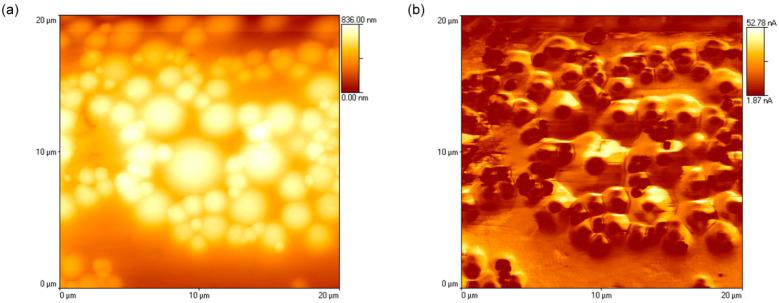 https://cdn.ncbi.nlm.nih.gov/pmc/blobs/caa4/8950181/e235ba1d764a/materials-15-02313-g004.jpg