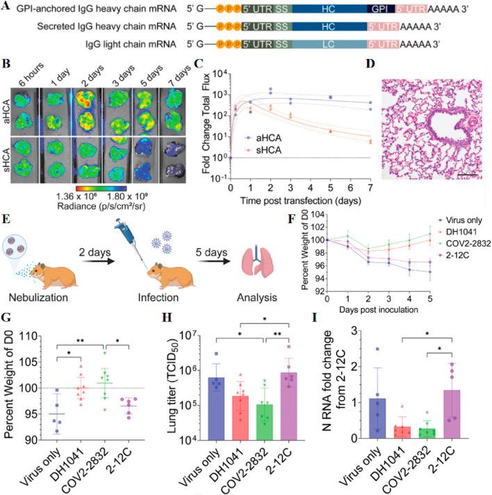 https://cdn.ncbi.nlm.nih.gov/pmc/blobs/caa7/11775749/7b31322cc4ae/fbioe-12-1519557-g009.jpg