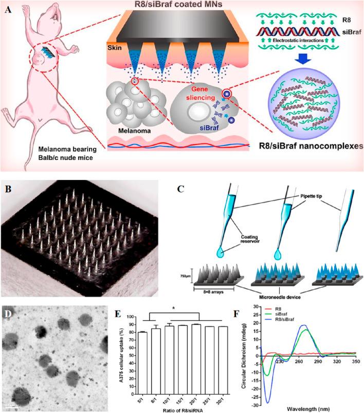 https://cdn.ncbi.nlm.nih.gov/pmc/blobs/caa7/11775749/c468cb148929/fbioe-12-1519557-g004.jpg