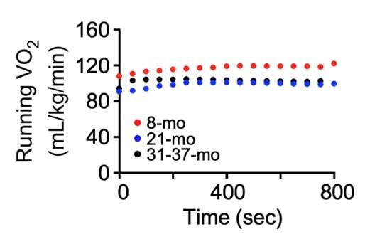 https://cdn.ncbi.nlm.nih.gov/pmc/blobs/caa8/8099423/f11608d1fde7/elife-62952-resp-fig2.jpg