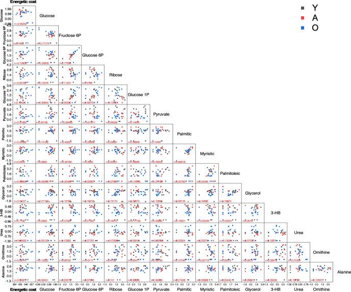 https://cdn.ncbi.nlm.nih.gov/pmc/blobs/caa8/8099423/f5683bdc96b5/elife-62952-fig6-figsupp1.jpg